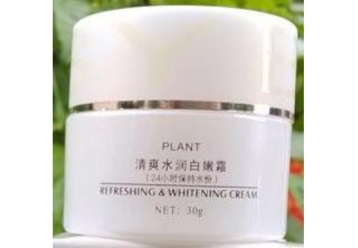 贝迪斯 清爽水润白嫩霜30g