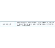 菲诗贝比 水立方弹力乳100ml化妆品