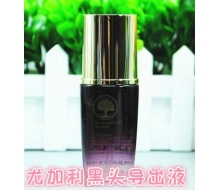 丽梵希  尤加利黑头导出液30ml