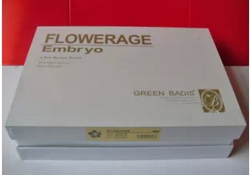 绿色芭蒂  三椎舒缓健康理疗组合4件套