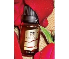 雪罗兰 檀香精油10ml化妆品