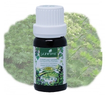 尹姬 没药纯精油10ml