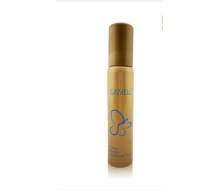 伊莎美尔 肌致无暇隐形BB霜20ml