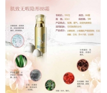 伊莎美尔 肌致无暇隐形BB霜60ml